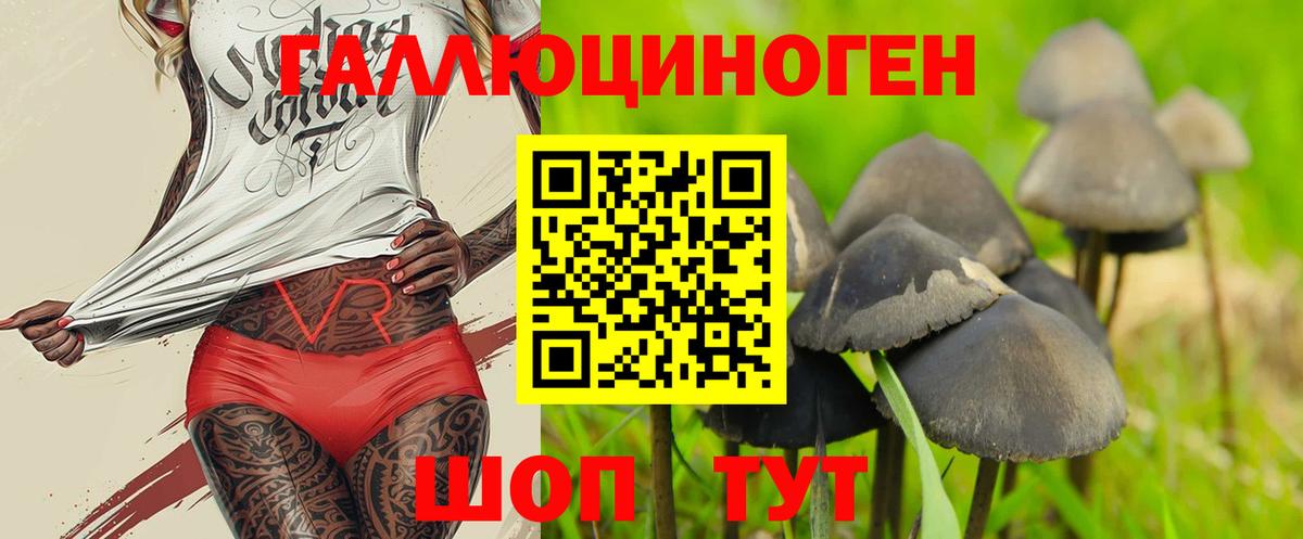 Переславль-Залесский  Галлюциногенные грибы мухоморы  Вход с VPN 
